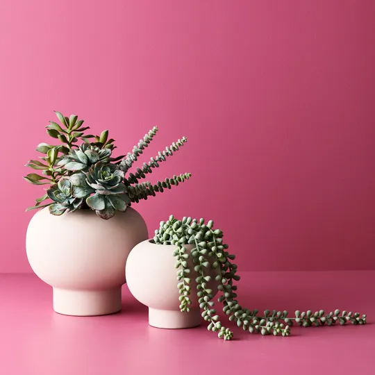 Lucena Vase - Light Pink