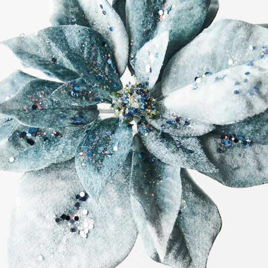 Clip Poinsettia Velvet - Sky