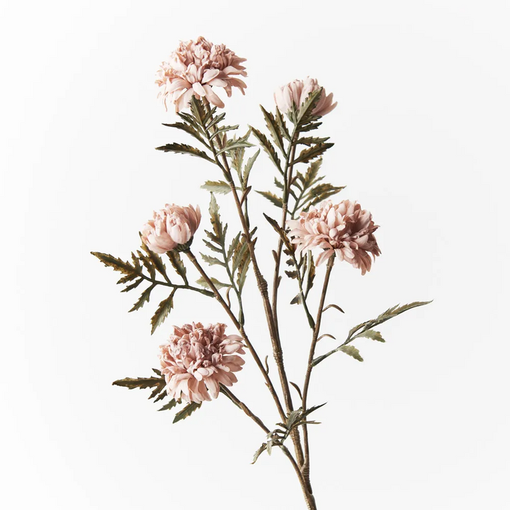 Chrysanthemum Celeste Spray - Dusty Pink