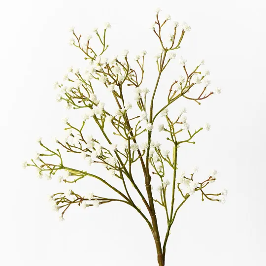 Babys Breath Spray - Cream