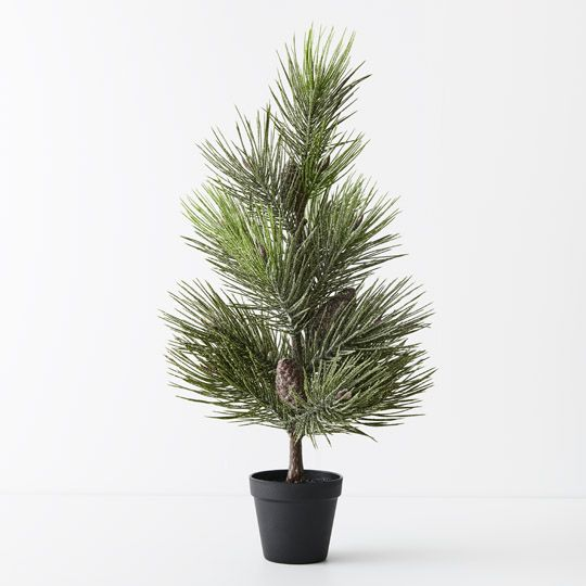 Pine Jasper Tree in Pot - Green White